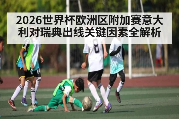 2026世界杯欧洲区附加赛意大利对瑞典出线关键因素全解析 | kaiyun