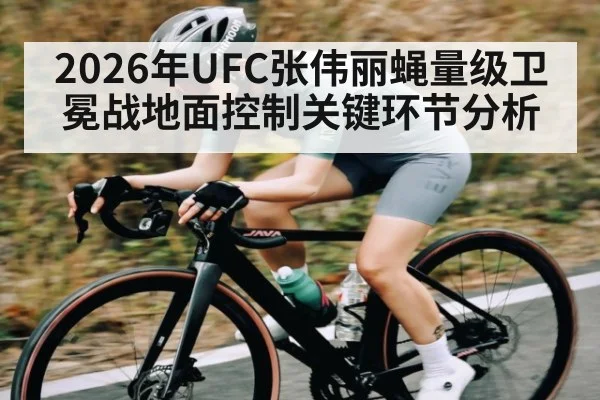 2026年UFC张伟丽蝇量级卫冕战地面控制关键环节分析